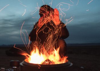 Warming Trends: Understanding the Impact of Climate Change