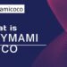 From Zero to Hero: The Inspiring Story of Soymamicoco