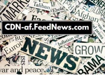 CDN-AF.Feednews.com: Unveiling the Backbone of Web Content Delivery